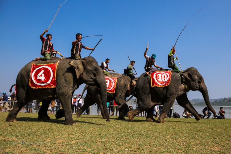 lễ hội đua voi Buôn Ma Thuột