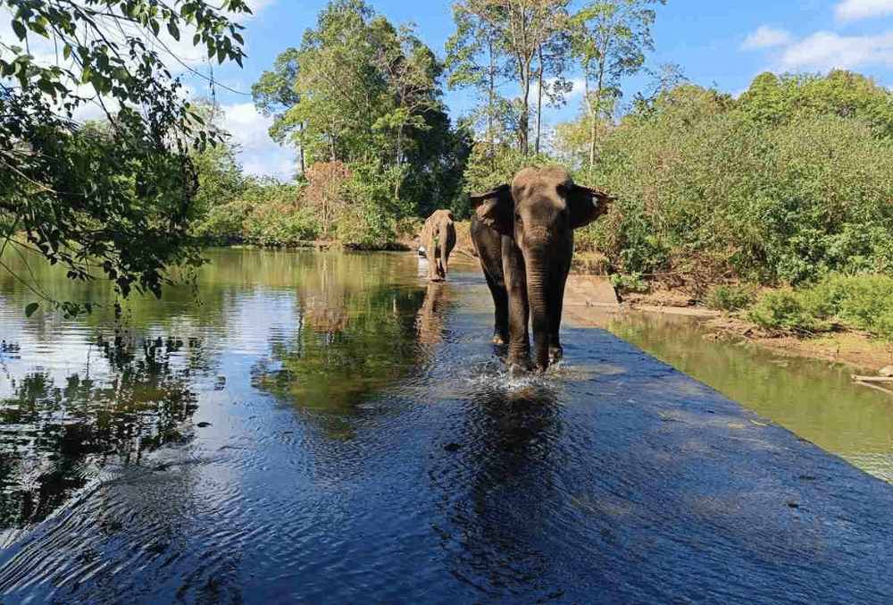 Đắk Lắk Tourism