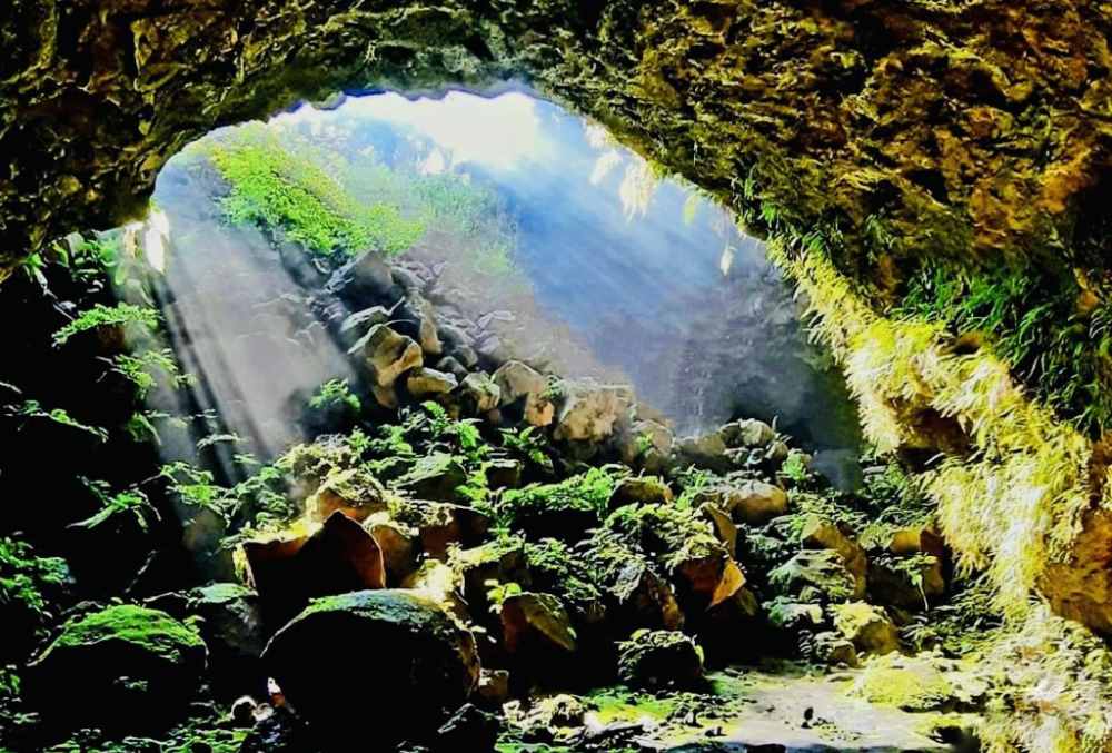 Đắk Lắk Tourism