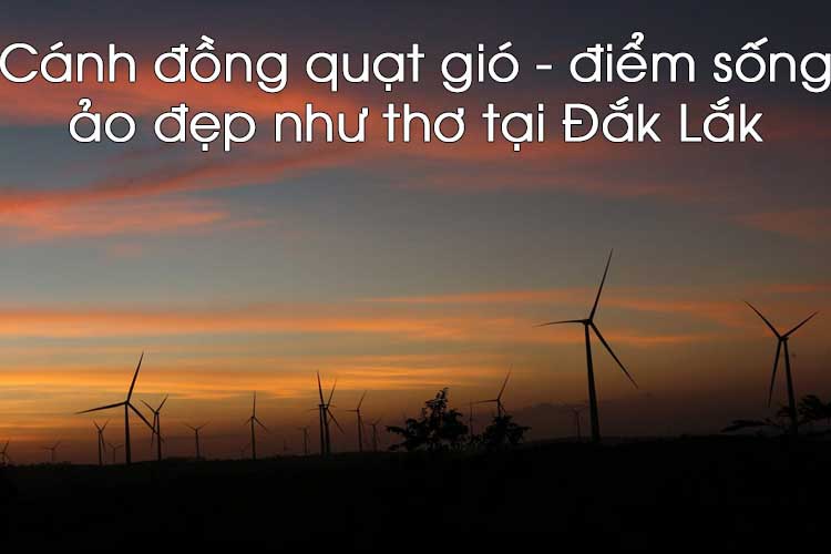 Cánh đồng quạt gió - điểm sống ảo đẹp như thơ tại Đắk Lắk