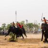 lễ hội đua voi Buôn Ma Thuột