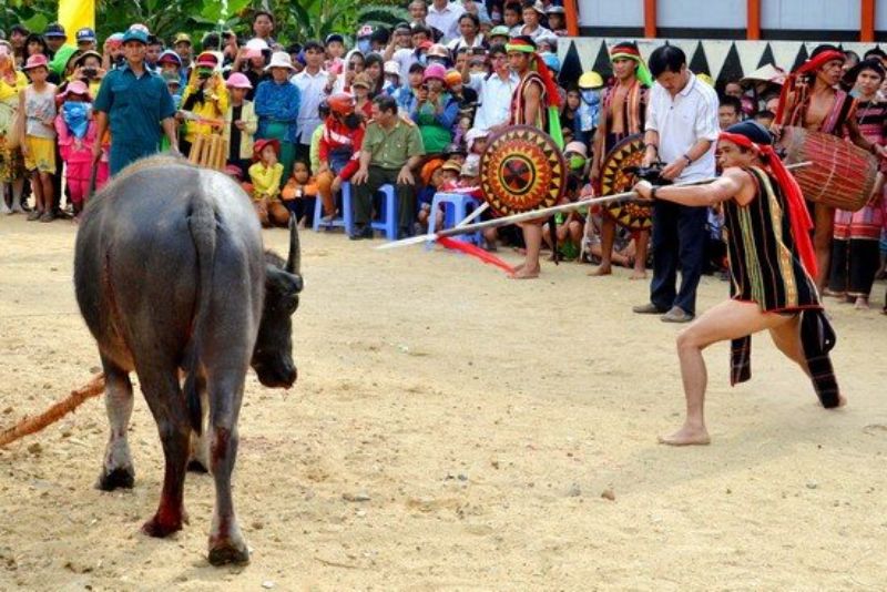 lễ đâm trâu