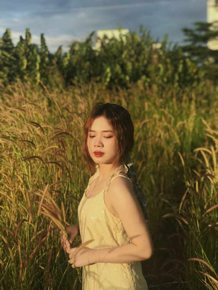 Cánh đồng cỏ bông lau để bạn tha hồ sống ảo