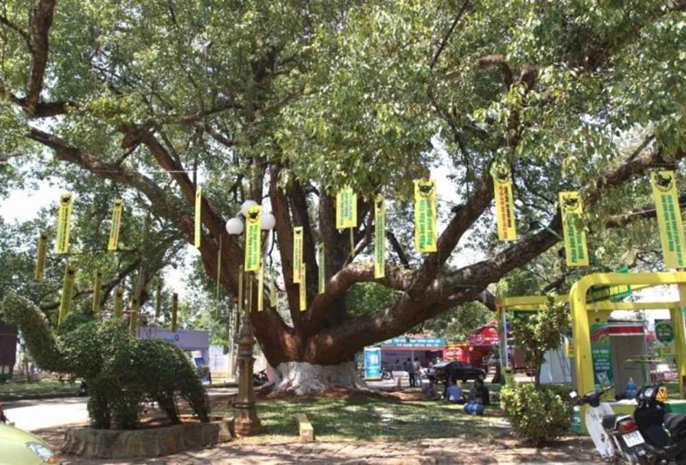 Đắk Lắk Tourism