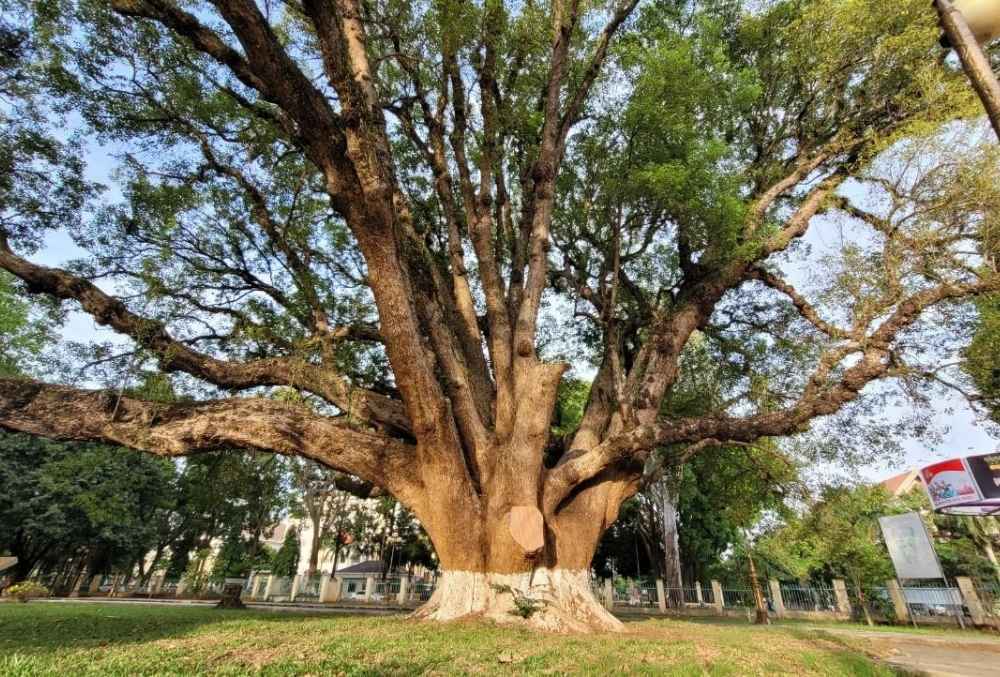 Đắk Lắk Tourism