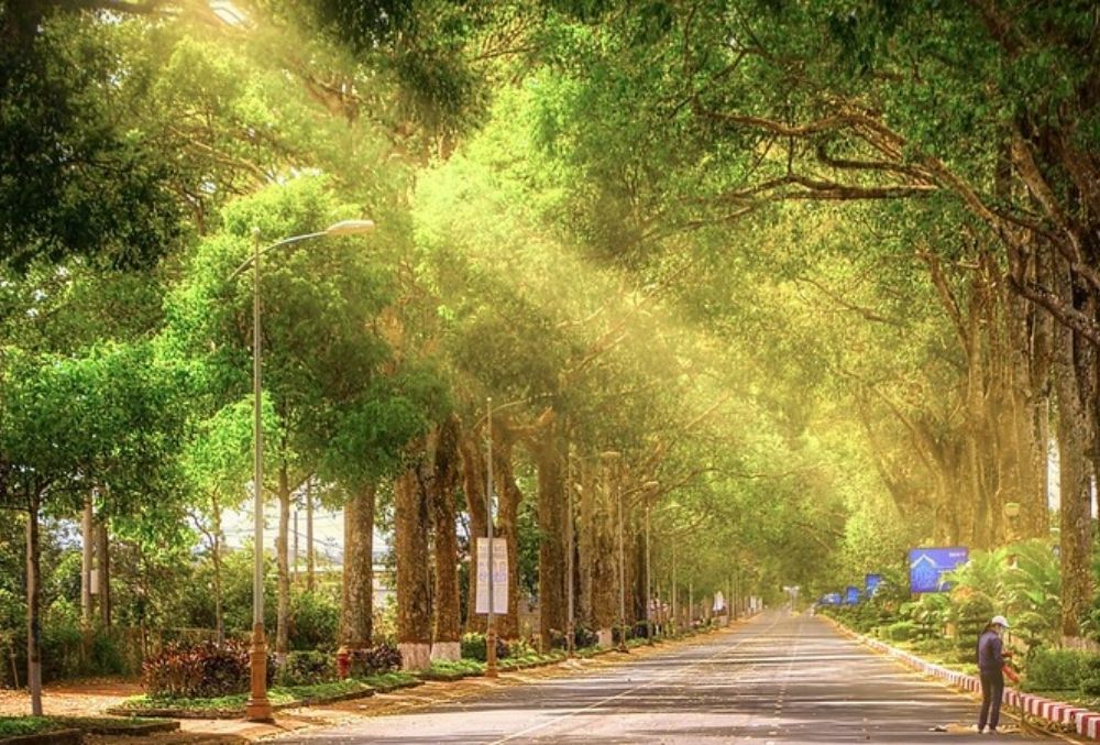 Tận hưởng trọn vẹn hành trình với các địa điểm du lịch ở BMT đầy màu sắc văn hóa và thiên nhiên.