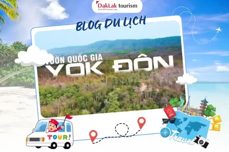 Khám phá Vườn quốc gia Yok Đôn – mang lại chính là Vẻ đẹp hoang sơ giữa Tây Nguyên ?
